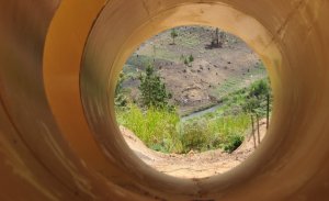 H.I.Project Madege - condotta forzata