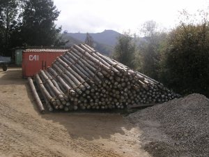 I pali da 12 metri per i primi 20km di linea