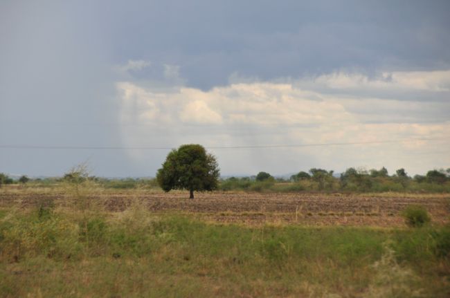 Acqua e Pioggia in Tanzania